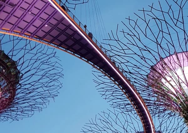 Traveler visiting Singapore